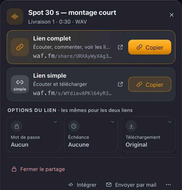 La fiche de partage d'un fichier : lien complet et lien simple avec leur bouton Copier, puis mot de passe, échéance et téléchargement.